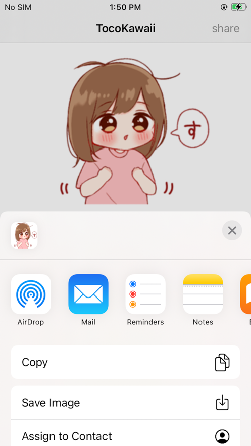 TocoKawai2