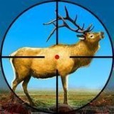 野鹿射擊冒險(xiǎn)