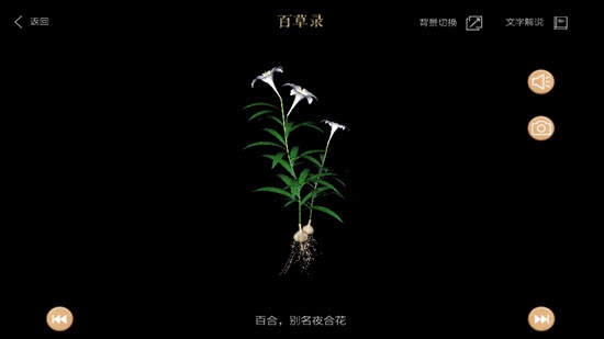 百草錄2