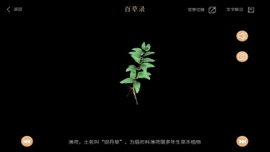 百草錄3