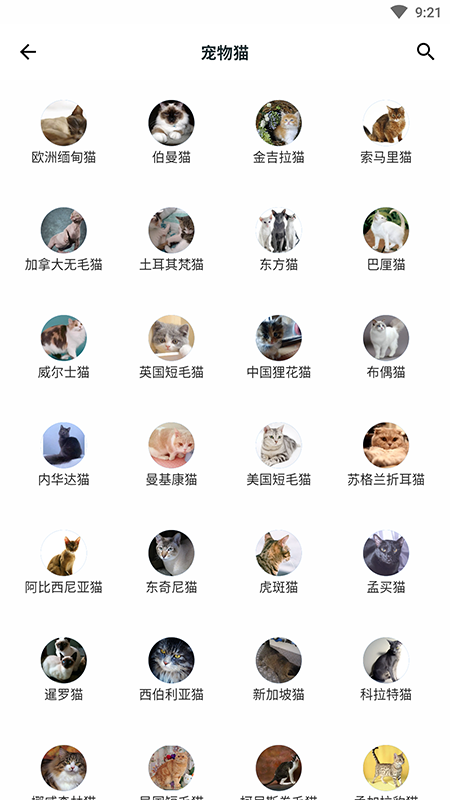 動植物百科全書(Animals Plants Treasury)3