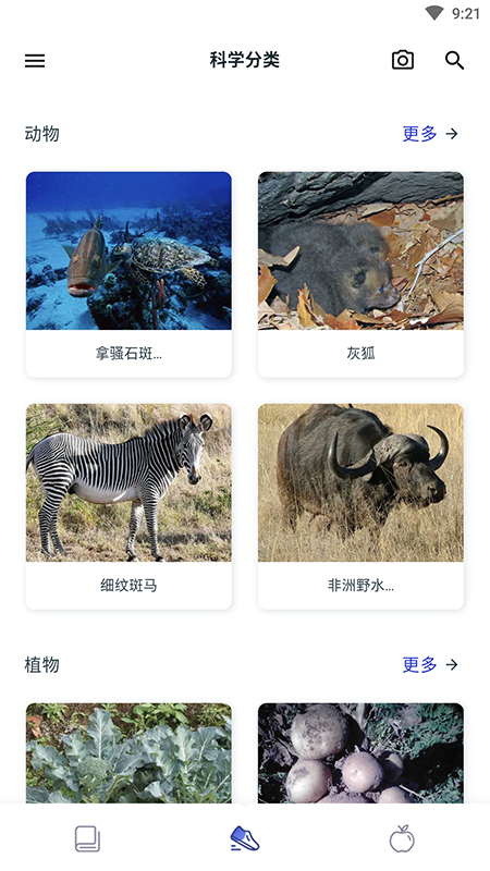 動植物百科全書(Animals Plants Treasury)4