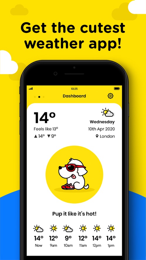 Cats Dogs Weather1
