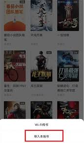 番茄小說如何將本地書籍導(dǎo)入軟件