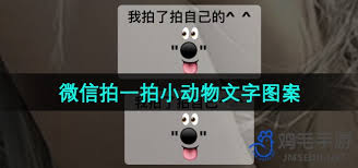微信拍一拍小動(dòng)物圖標(biāo)有哪些種類