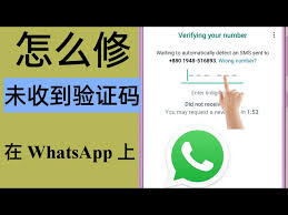 WhatsApp驗證碼未收到iPhone如何解決