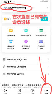 如何購買Weverse會員及價格是多少