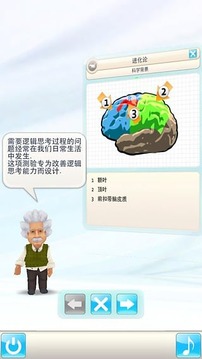 愛因斯坦腦力鍛煉3