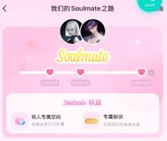 soulmate空間能不能隱藏不讓別人看