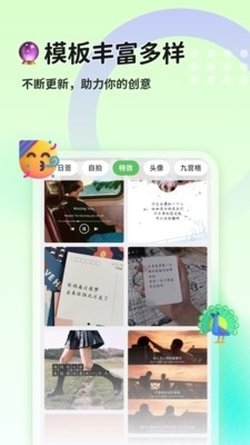 貓制圖2