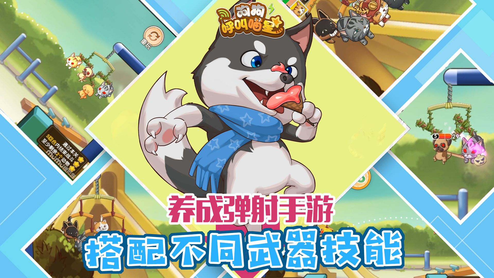 狗狗呼叫喵星測試服1