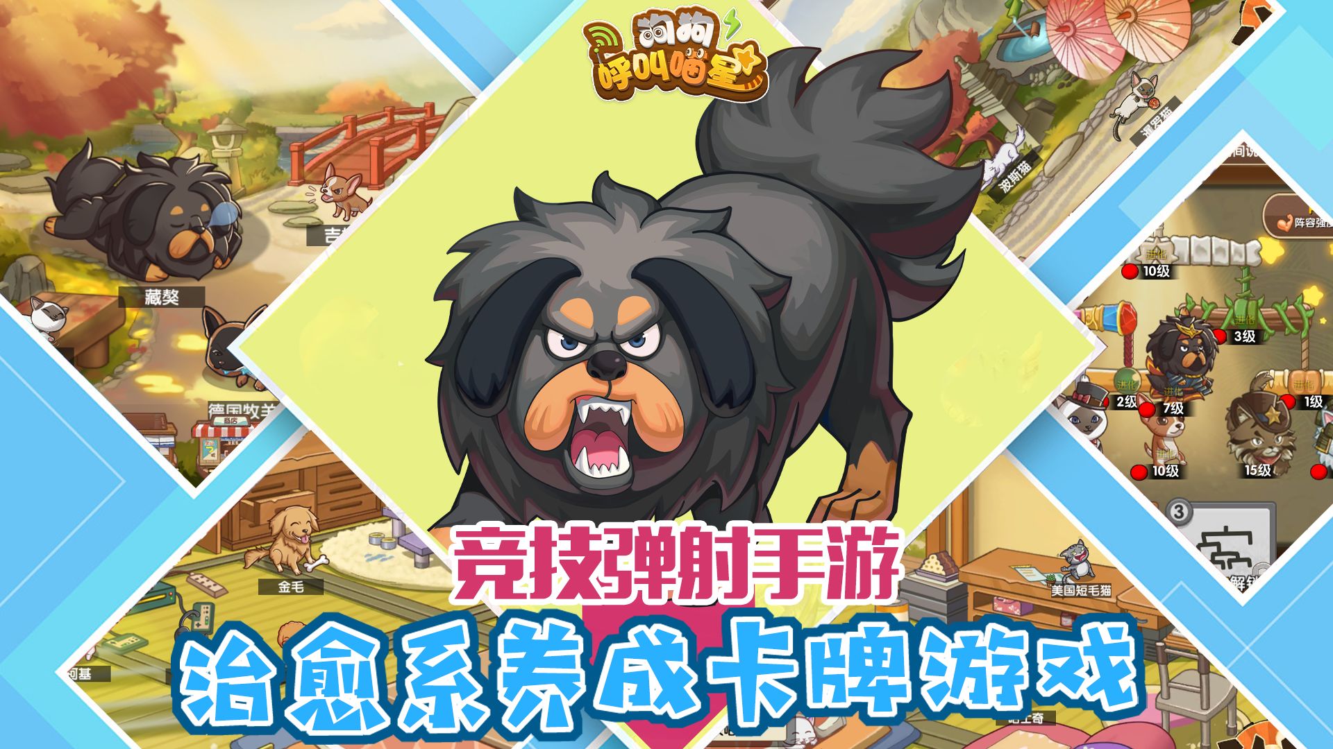 狗狗呼叫喵星測試服3