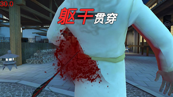 忍者信條3D v4.6.13