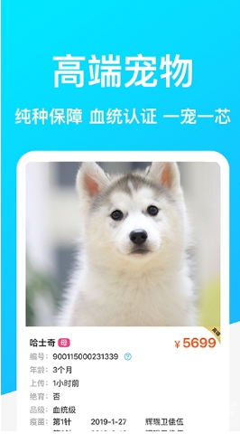 DogBreeds狗品種2