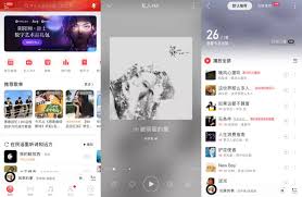汽水音樂(lè)與網(wǎng)易云哪個(gè)更具優(yōu)勢(shì)