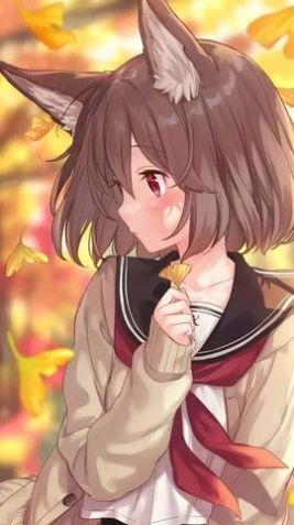 嚴(yán)選漫畫無廣告版1
