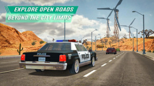 Police Sim20221