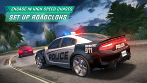 Police Sim20223