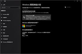 win11計劃通道release preview如何改成Dev