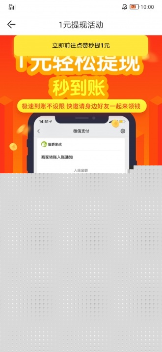 牽牛花1