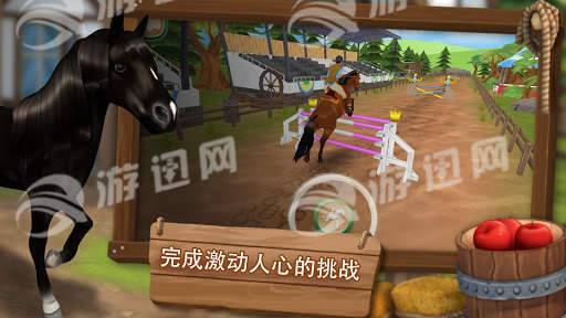 照顧馬兒們1