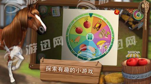 照顧馬兒們3