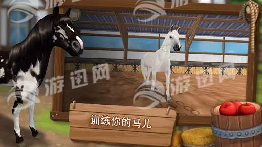 照顧馬兒們4