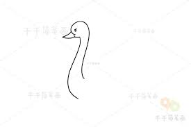如何輕松畫出優(yōu)雅天鵝簡(jiǎn)筆畫