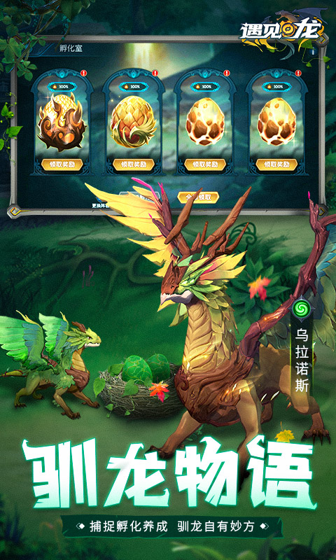 遇見龍22