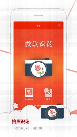 微軟識花1