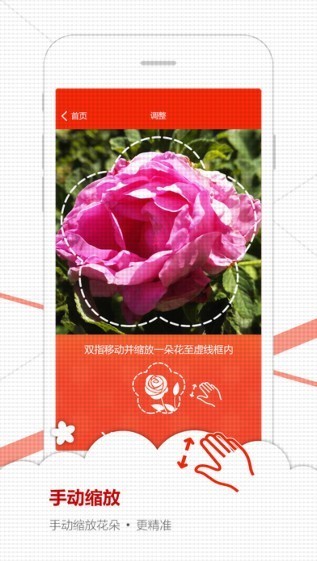 微軟識花2