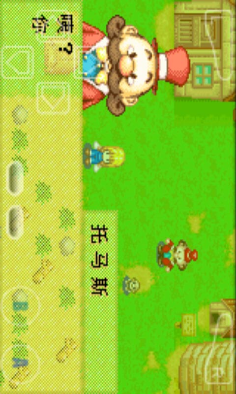 牧場(chǎng)物語(yǔ)：礦石鎮(zhèn)的伙伴們女孩版3