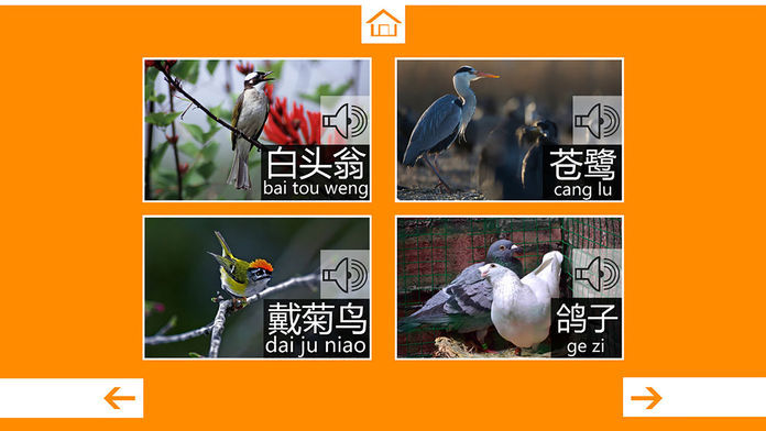 動物叫聲最新版2