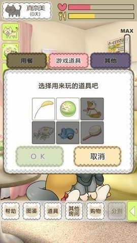 我家不可思議的貓咪1