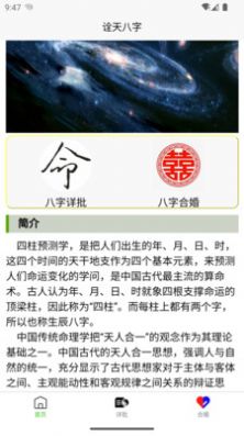 詮天八字排盤2