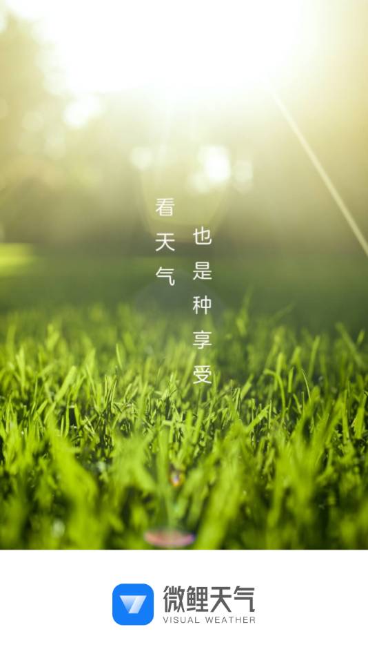 微鯉天氣v1.0.11