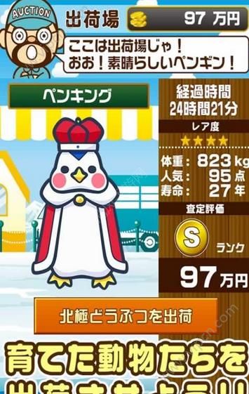 北極動物園手機版4
