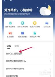 京東白條如何進(jìn)行一次性還款