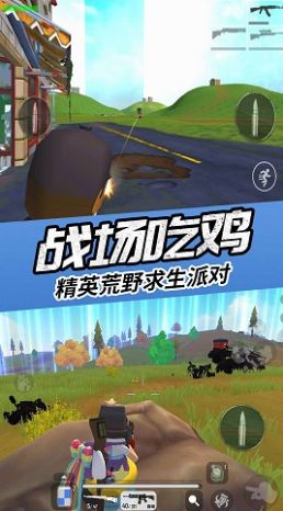 真實吃雞模擬器1