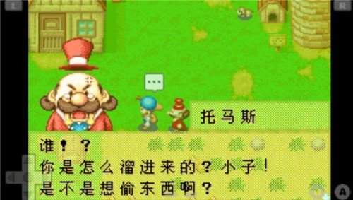 牧場(chǎng)物語礦石鎮(zhèn)的伙伴們中文版1