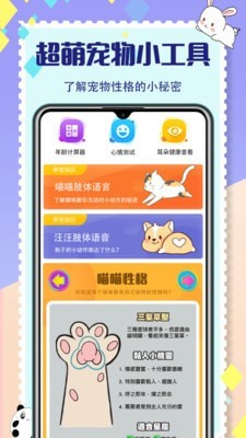 貓咪交流1