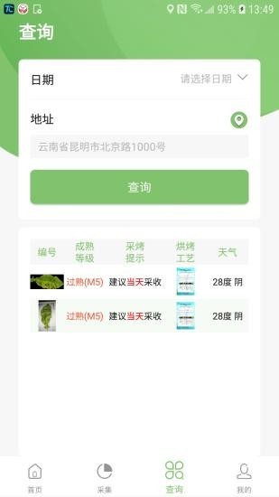 看葉識(shí)熟3