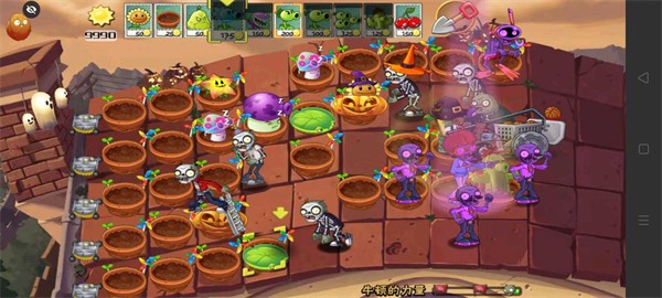 PvZ TV末日草坪隨機版1