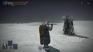 艾爾登法環(huán)黑夜君臨追蹤者大乘富貴流怎么玩