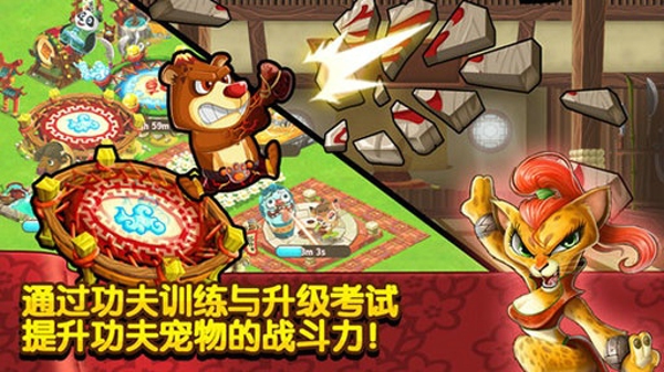 功夫?qū)櫸锕俜桨?