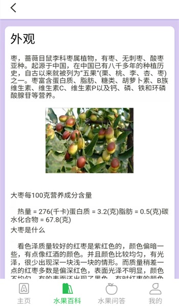 掌上果園2