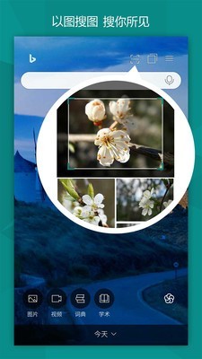 必應(yīng)bing(Microsoft Bing)4