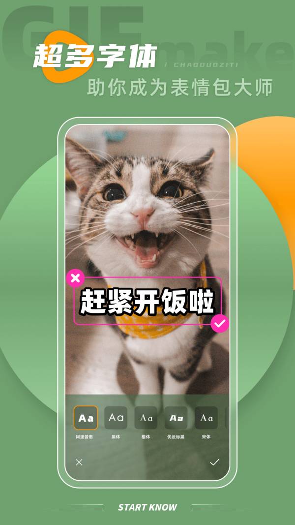 gif大師鴨1