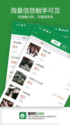 豬邦忙4