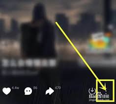 波點音樂怎么進行倍速播放